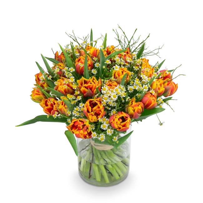 Bouquet of premium tulips
